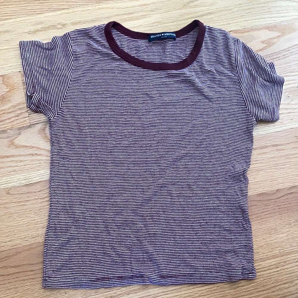 Tiny Maroon Striped Crop Top